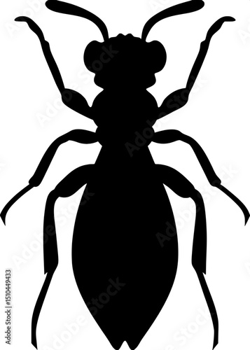 Silhouette of a parasitic wasp, symmetrical front view, isolated, minimalist design







