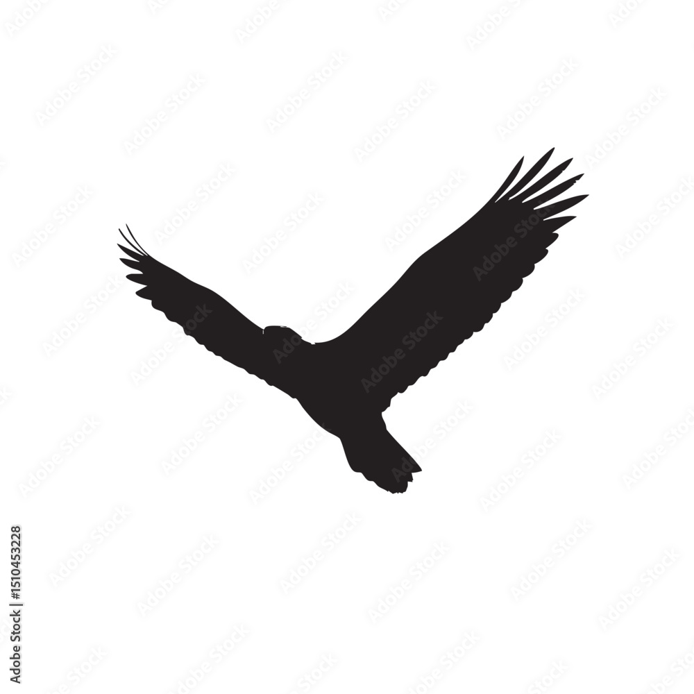 Obraz premium Black silhouette of Bald eagle, centered on plain white background, American Independence day theme, symbol, 4th july