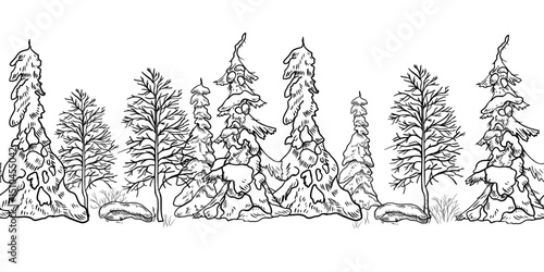 Seamless winter forest landscape border hand drawn black white outline vector with snowy firs, bare trees, and woodland silhouettes. Monochrome nature scene for Christmas prints in graphic sketch.