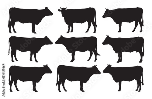 Simple and clean black cow illustrations for rural concepts.