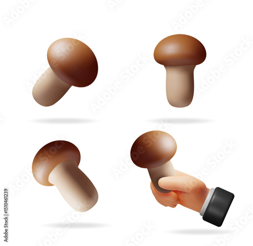 Different views of button mushroom. Set of edible fungi, including a hand holding one. Autumn harvest and foraging concept. Nature food.