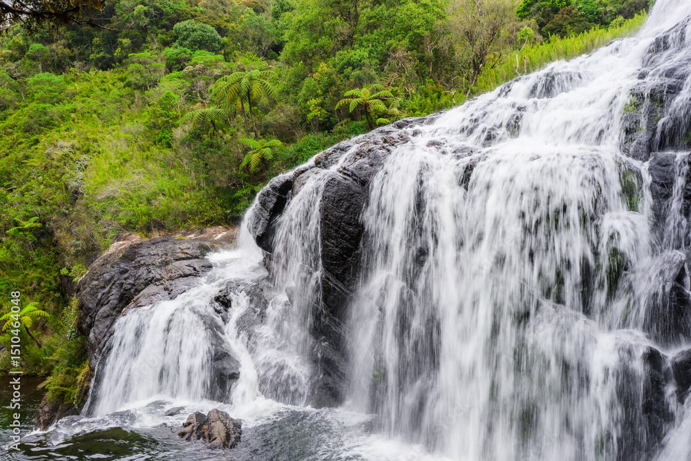 Obraz premium waterfall in the forest