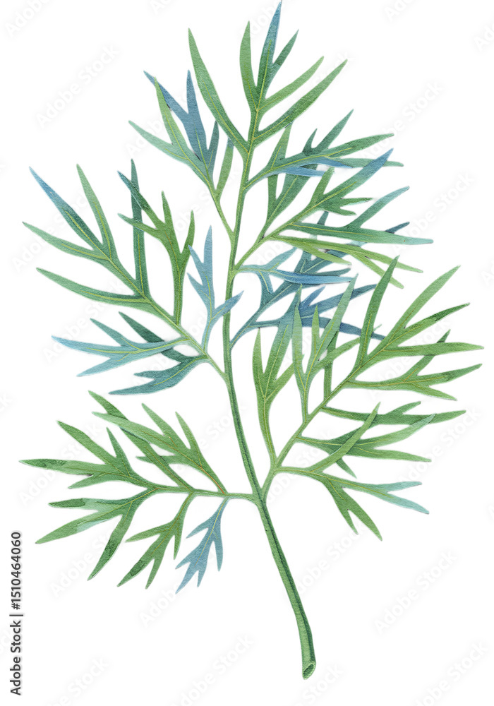 Fototapeta premium Green leaf with divided lobes stands out against a soft blurred green background