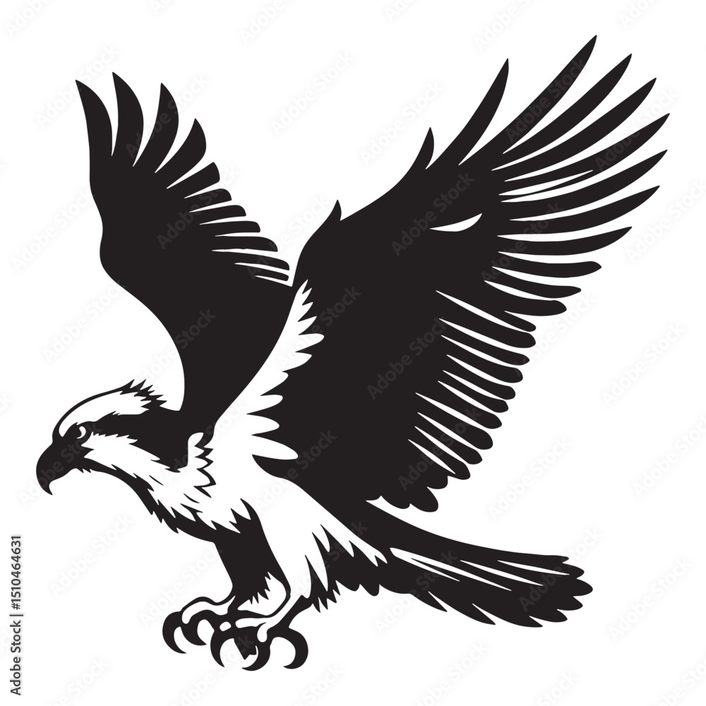 Obraz premium Osprey silhouette hunting over water – Osprey illustration – Minimalist Osprey vector – Bird silhouette