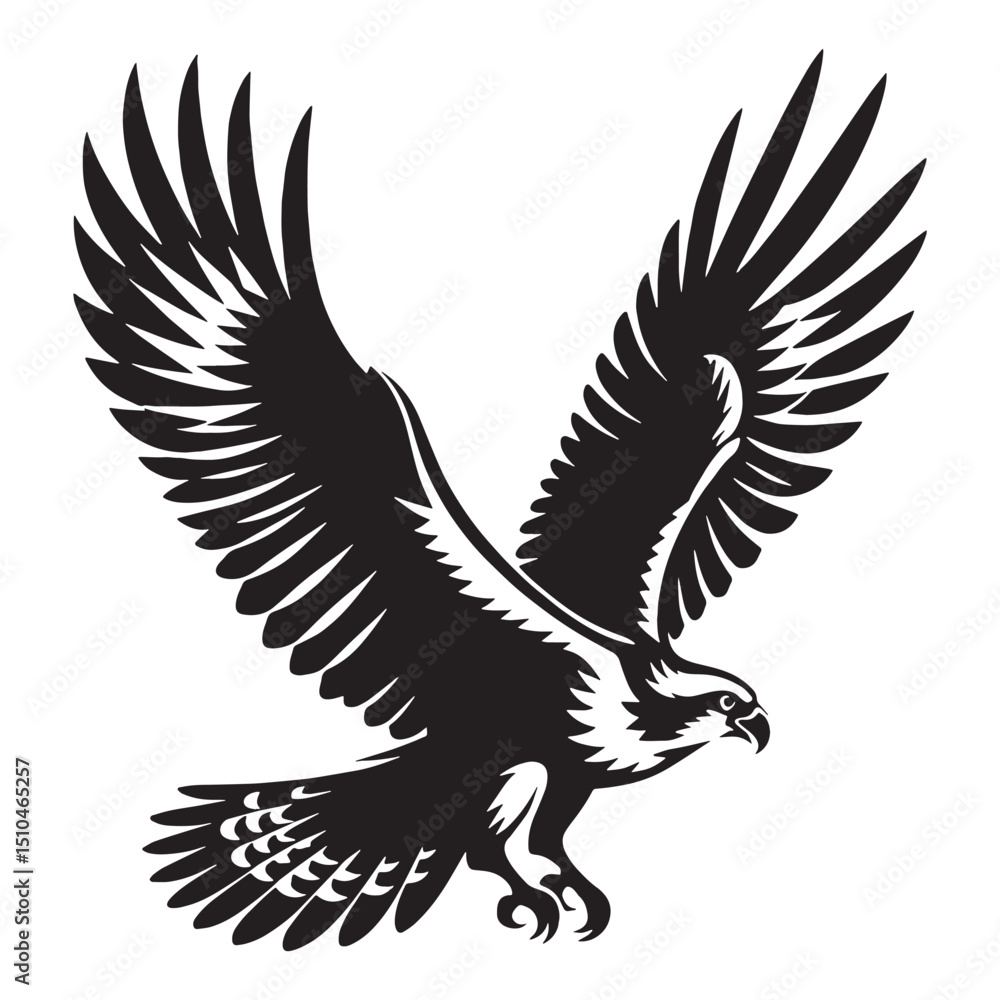 Fototapeta premium Majestic Osprey silhouette over water – Osprey illustration – Minimalist Osprey vector – Bird silhouette