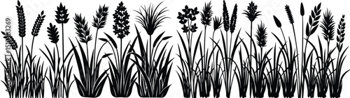 "Silhouettes of Grasses and Wild Plants – Botanical Vector Collection"

