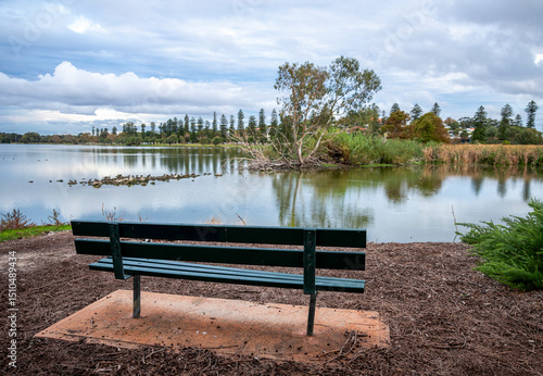 Scenic Lake Monger Scene with Bench and Scenic Nature Background, Perth, Australia, 24 April 2020