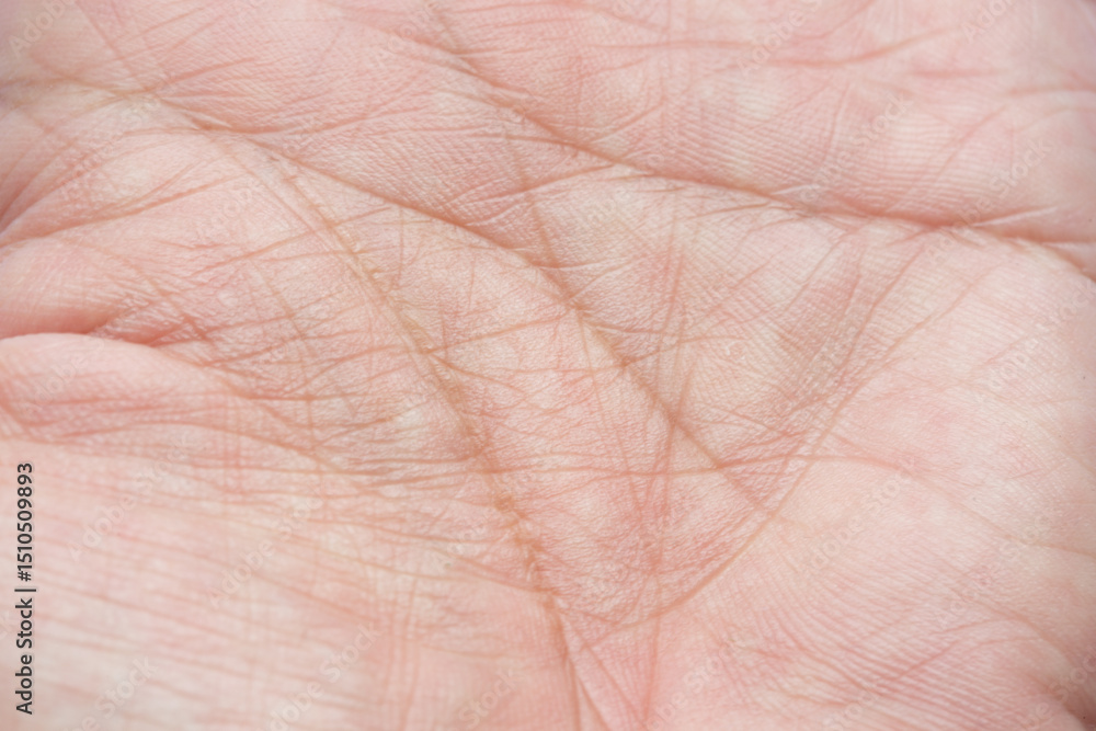 Fototapeta premium Macro human palm texture,Macro human palm print,palm pattern macro shot . fingerprinting concept,