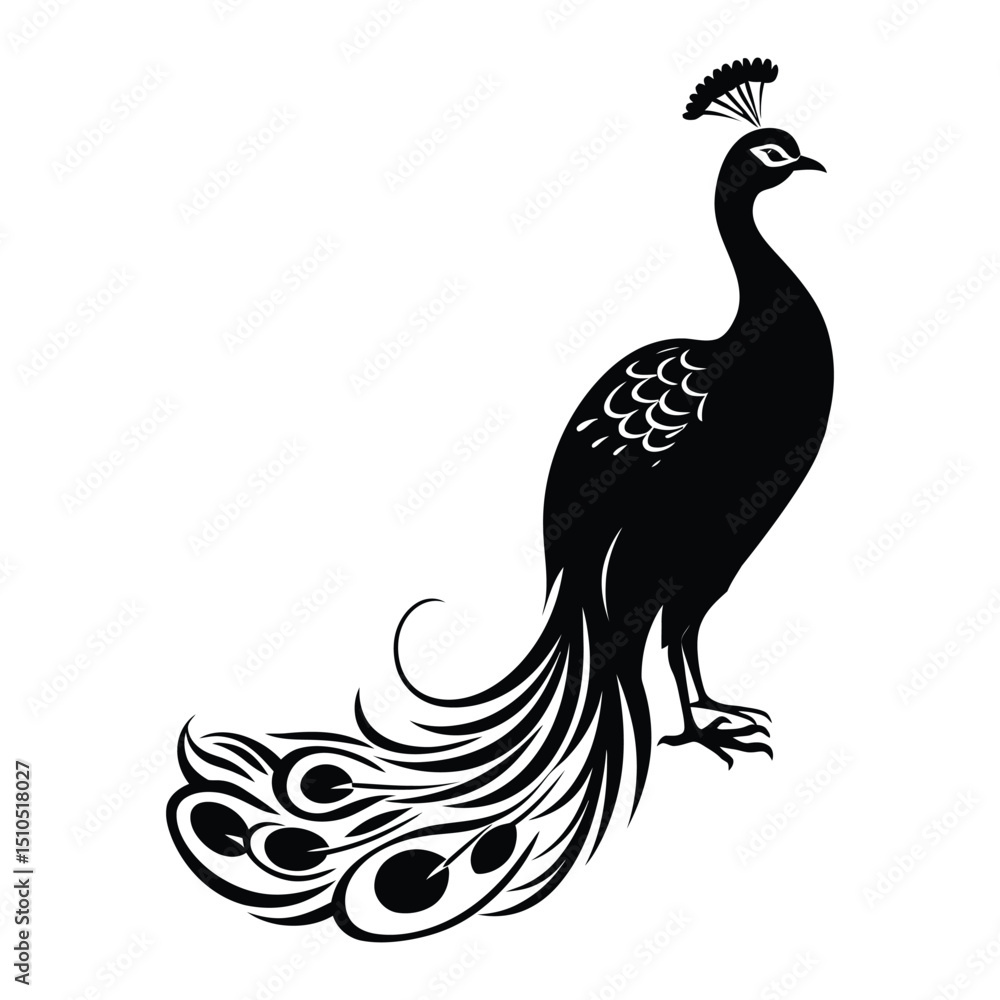 Fototapeta premium Peacock silhouette of simple minimal vector