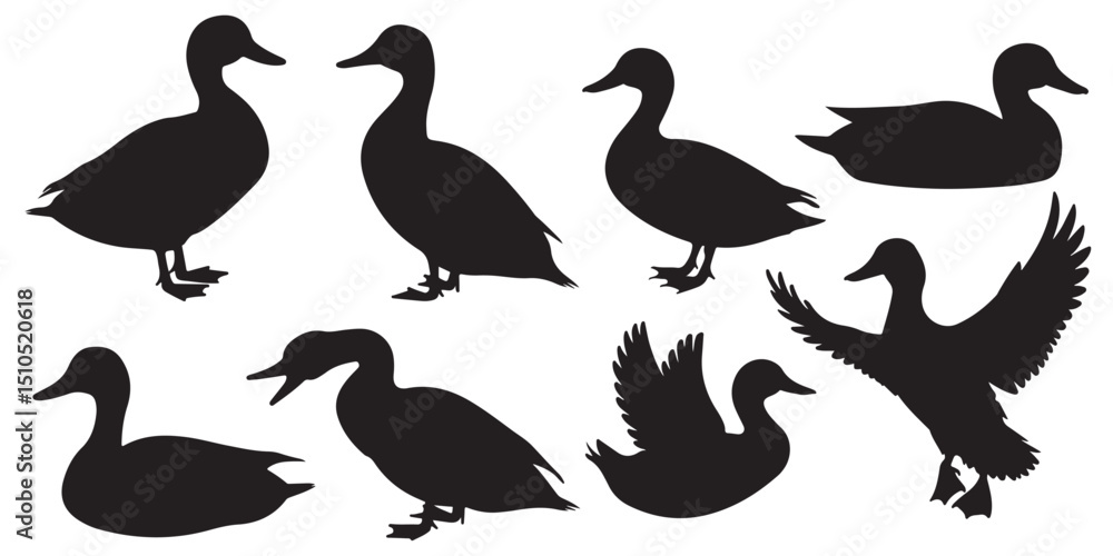 Fototapeta premium Silhouettes of Ducks Swimming on Water, Duck Silhouettes in Various Poses, Cute Cartoon Ducks Illustration Set Black and White