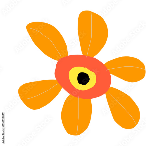 orange flower on white background
