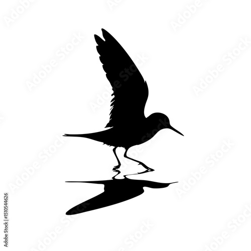 Black silhouette of a bird taking flight over water surface  
