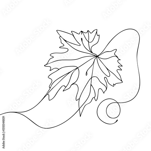 Single line drawing of a grape leaf with vine elements  