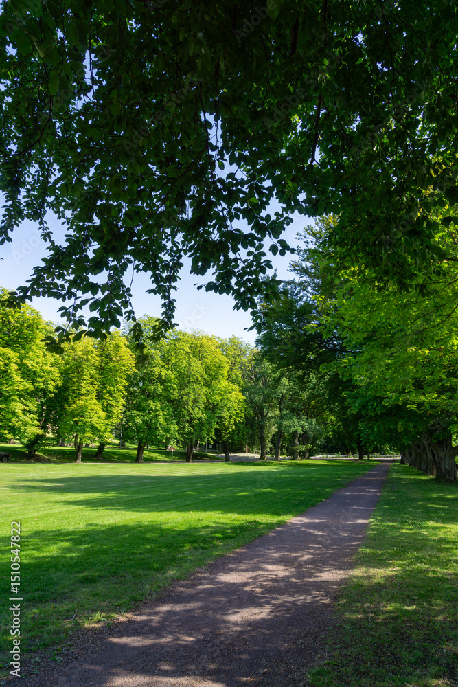Obraz premium Summer Walking Trail Through Horten Forest in Norway