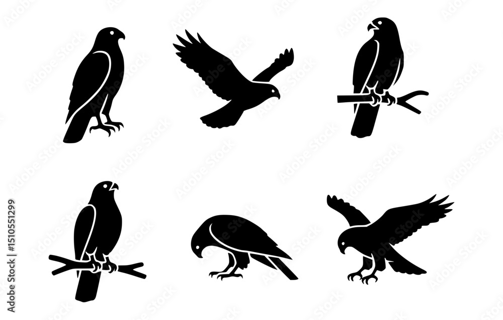 Obraz premium Collection of Black hawk silhouettes in different poses. They are graceful and strong