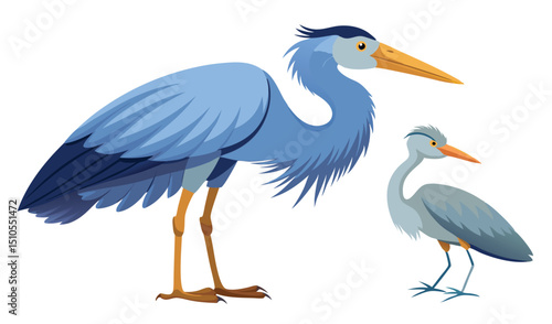 Adult and baby great blue heron bird illustration