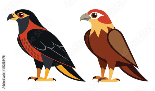 Two colorful birds of prey illustration