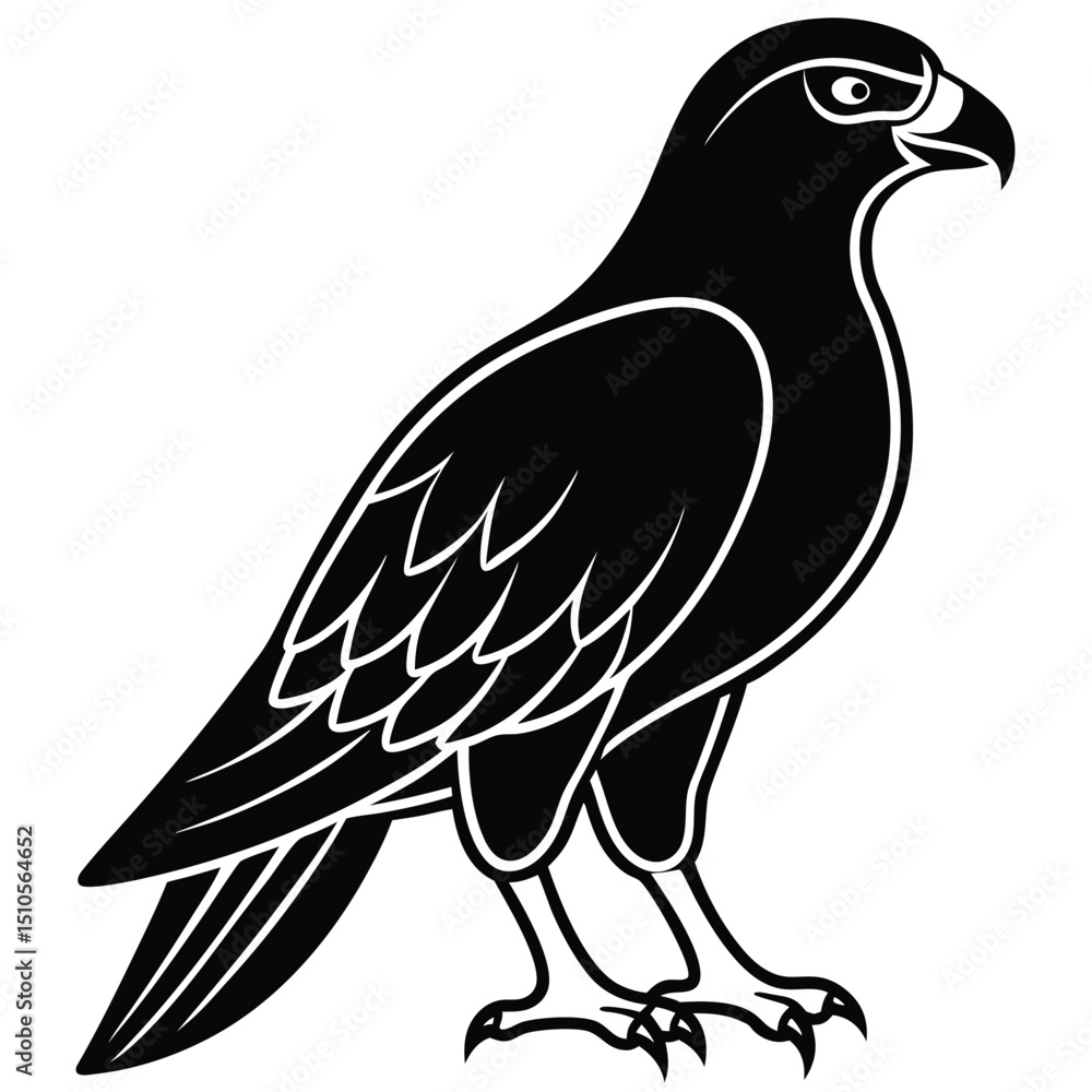 Fototapeta premium Silhouette hawk on white background