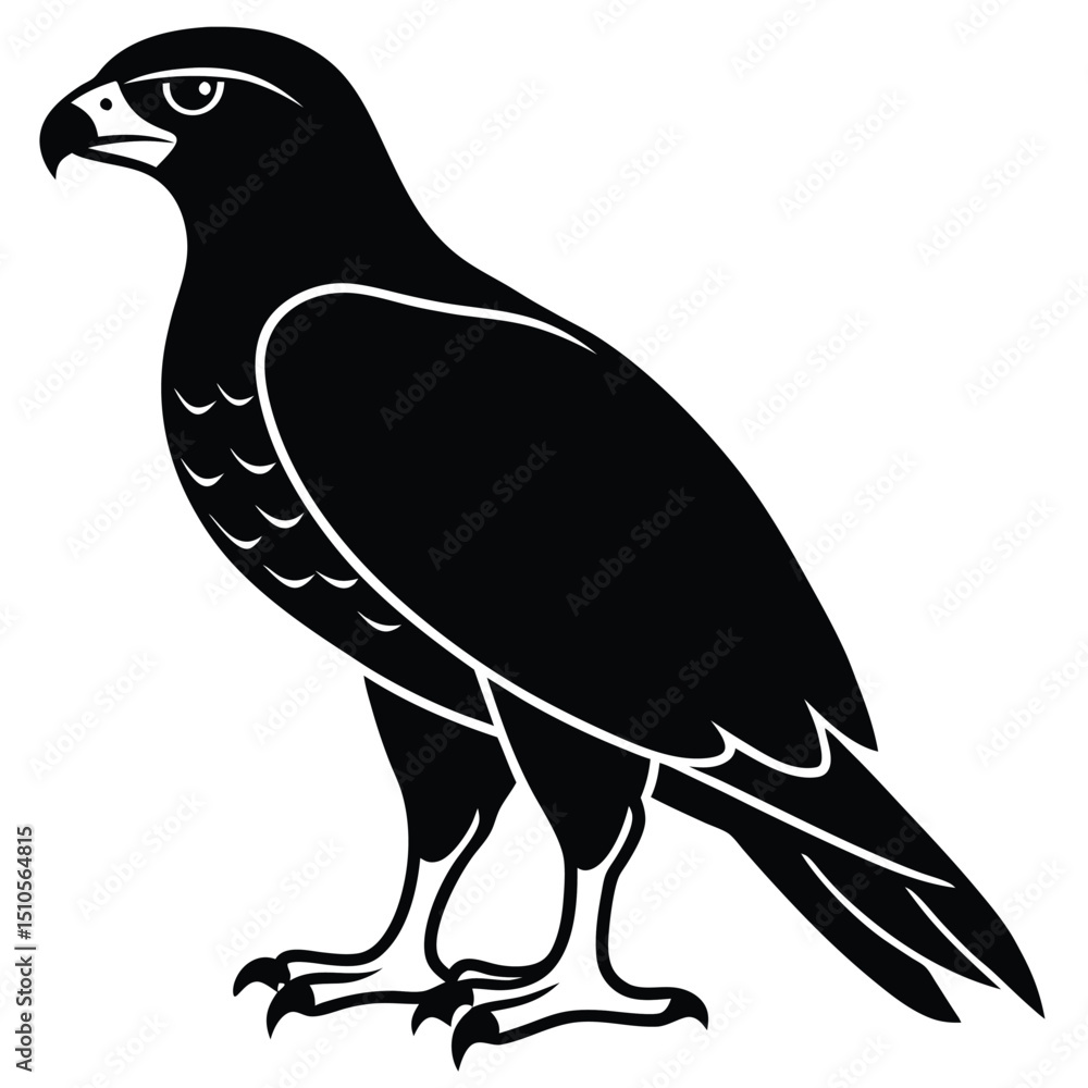Fototapeta premium Silhouette hawk on white background