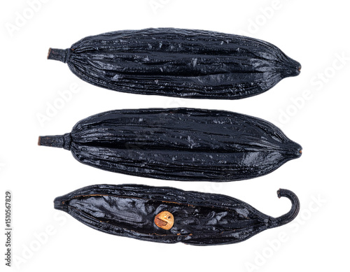 Wallpaper Mural Tonka bean isolated on transparent background Torontodigital.ca