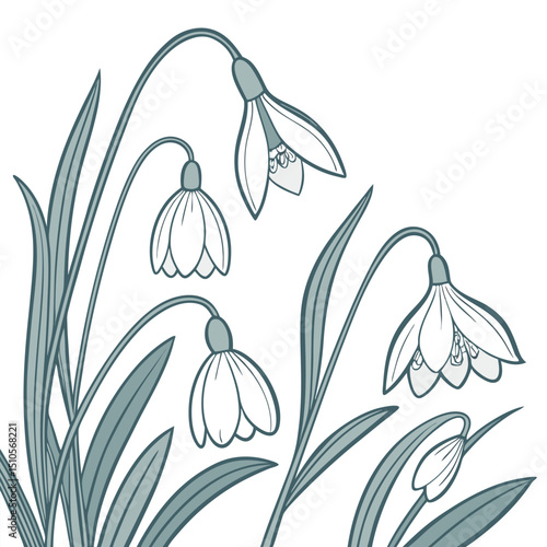 Seamless pattern with delicate white snowdrop flowers