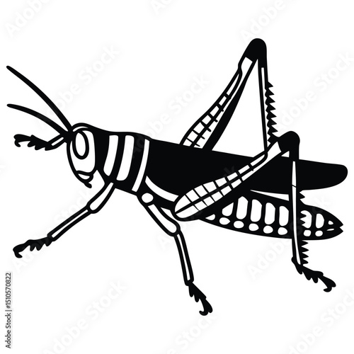 Detailed Black and White Grasshopper Illustration – Insect Art Design