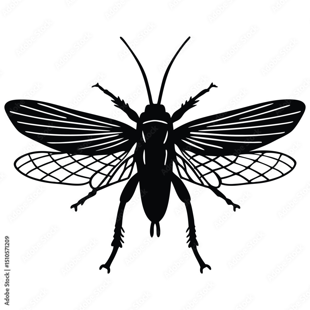 Fototapeta premium Grasshopper Flying, Black and White Insect Vector Illustration
