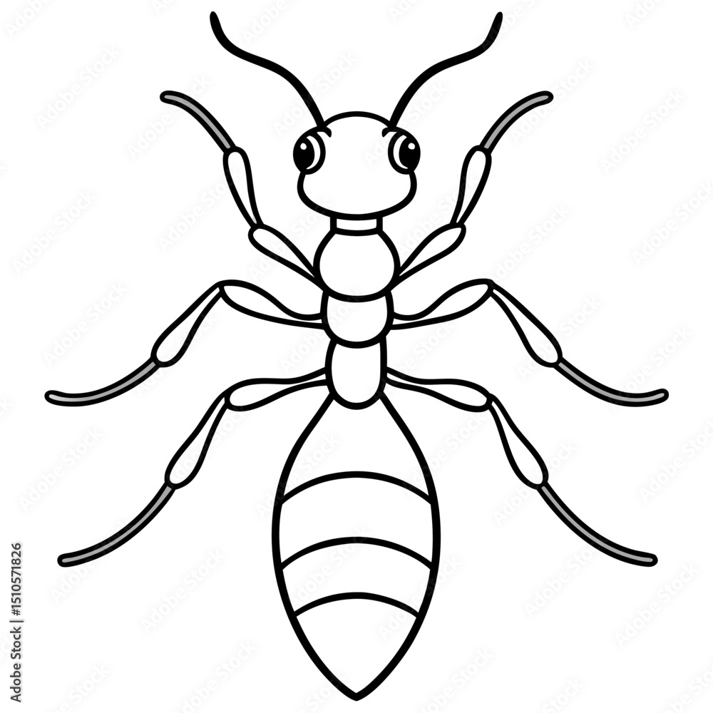 Ant line art vector Ant line art vector