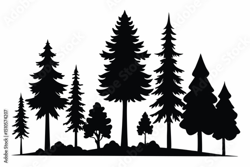 Silhouettes of various evergreen trees in a forest landscape