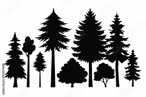 Silhouettes of various trees and conifers in a forest
