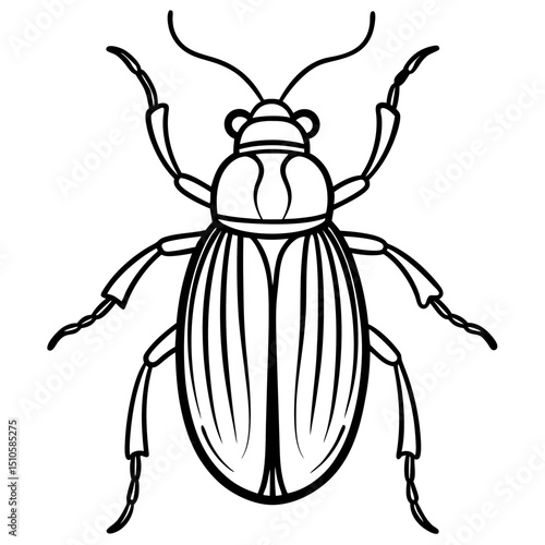 Beetle line art vector