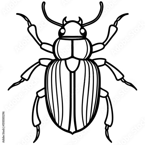 Beetle line art vector