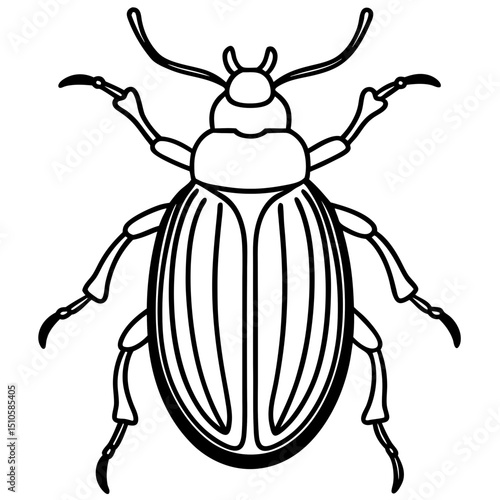 Beetle line art vector