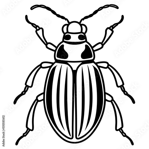 Beetle line art vector