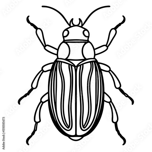Beetle line art vector