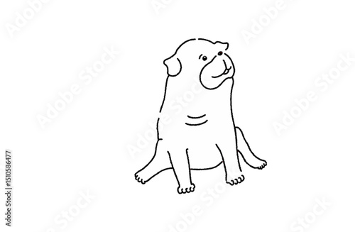 パグ座り