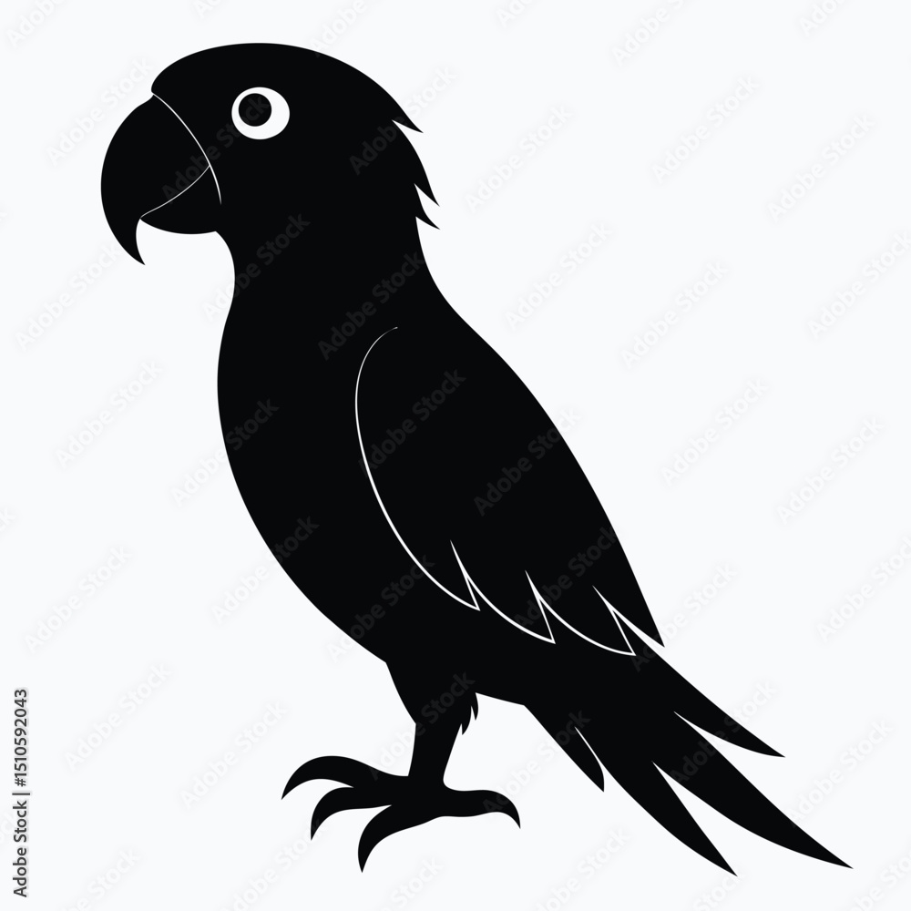 Fototapeta premium Silhouette parrot on white background