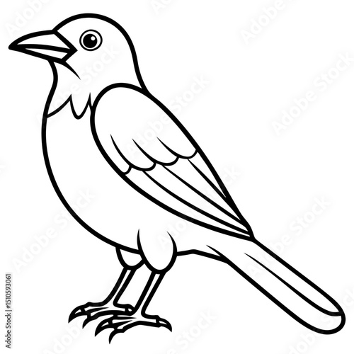 Clark's Nutcracker line art  vector