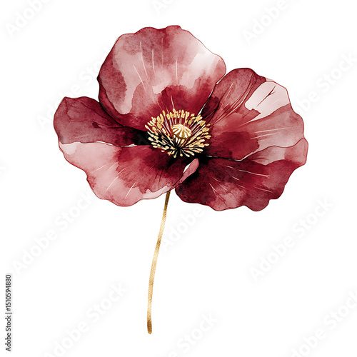 Watercolor Flower Illustration Isolated on Transparent Background Floral PNG Clipart Art