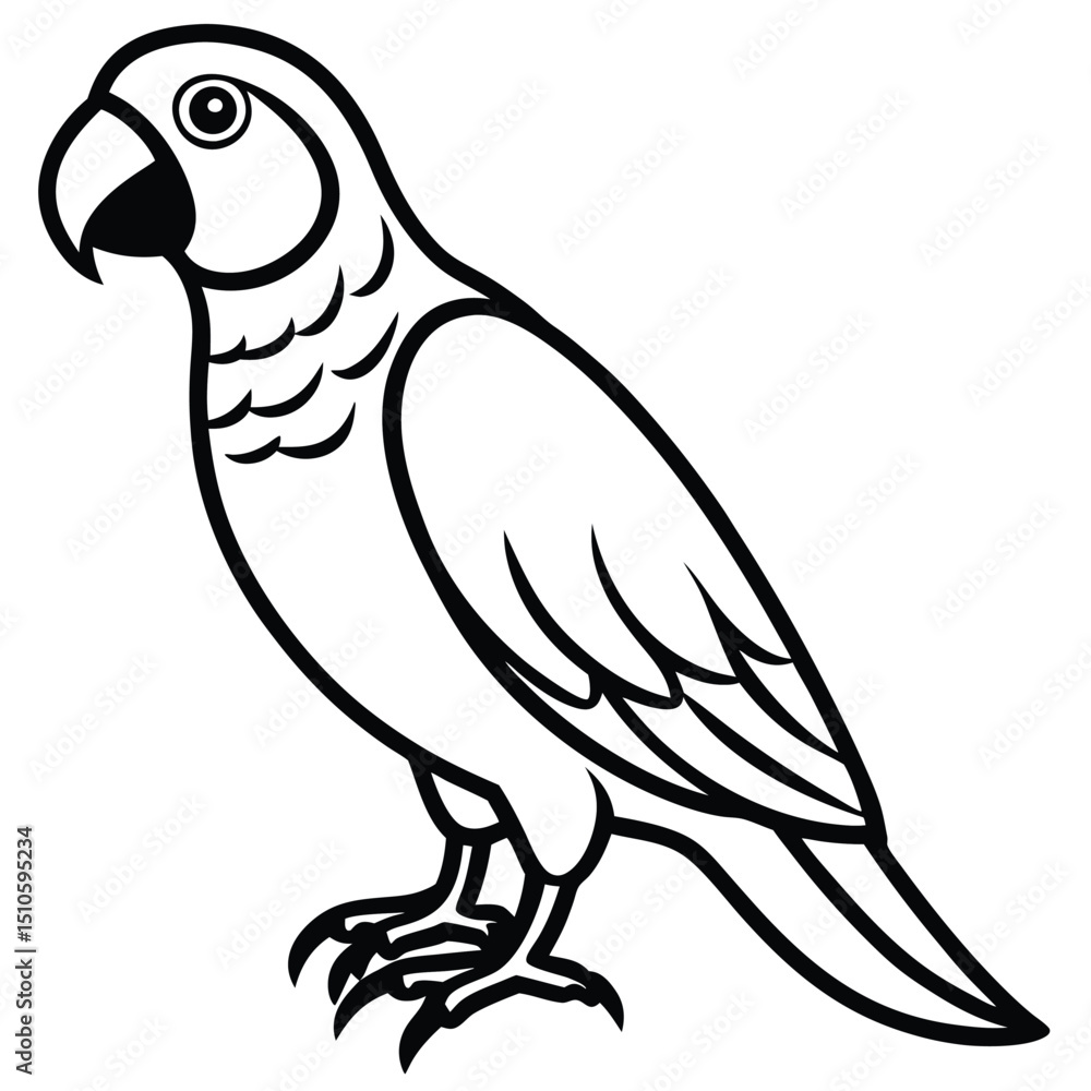 Silhouette parrot on white background Silhouette parrot on white background