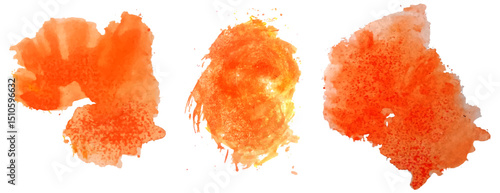 Orange Brush Strokes Set