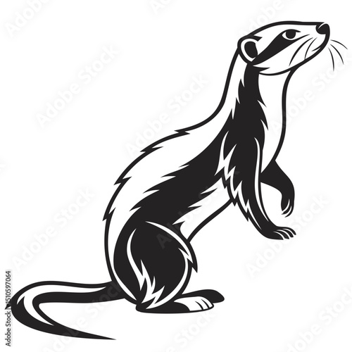 Illustration of a black and white ferret standing on its hind legs looking up on transparent background