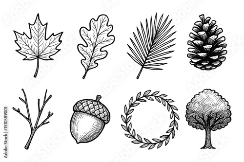 Nature Icons Sketch