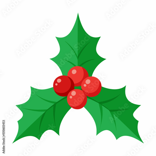 christmas holly branch