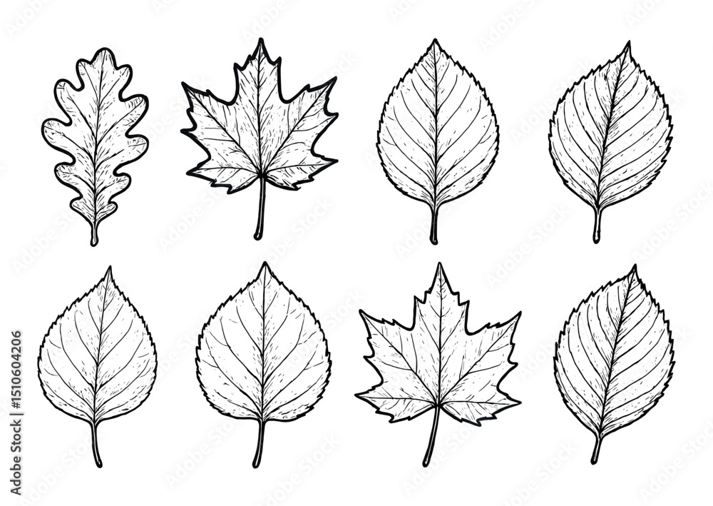 Leaf Icon Sketches Leaf Icon Sketches