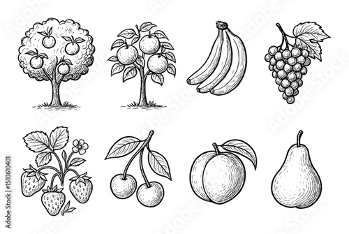 Fruit Tree Icons
