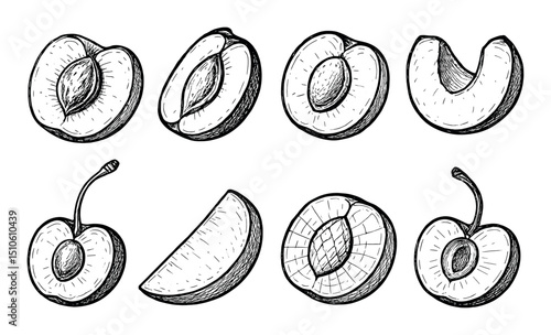 Fruit Slice Icons