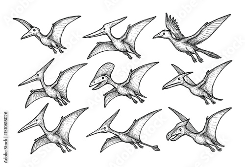 Prehistoric Creatures Icons
