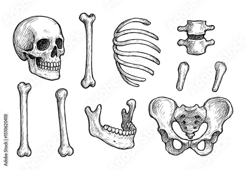 Hand-Drawn Bone Icons