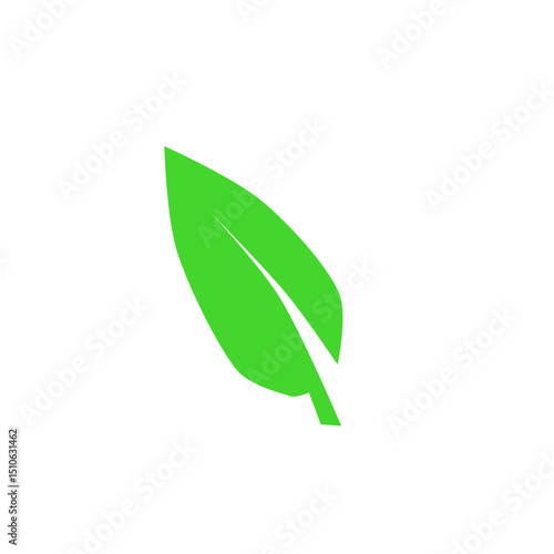 green leaf